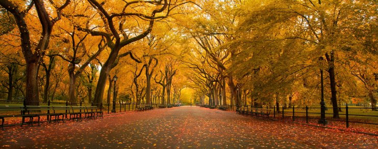 Central Park (photo: Chris Ford)
